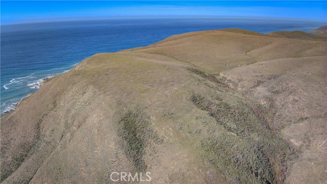 MLS #PI25027871 image #9