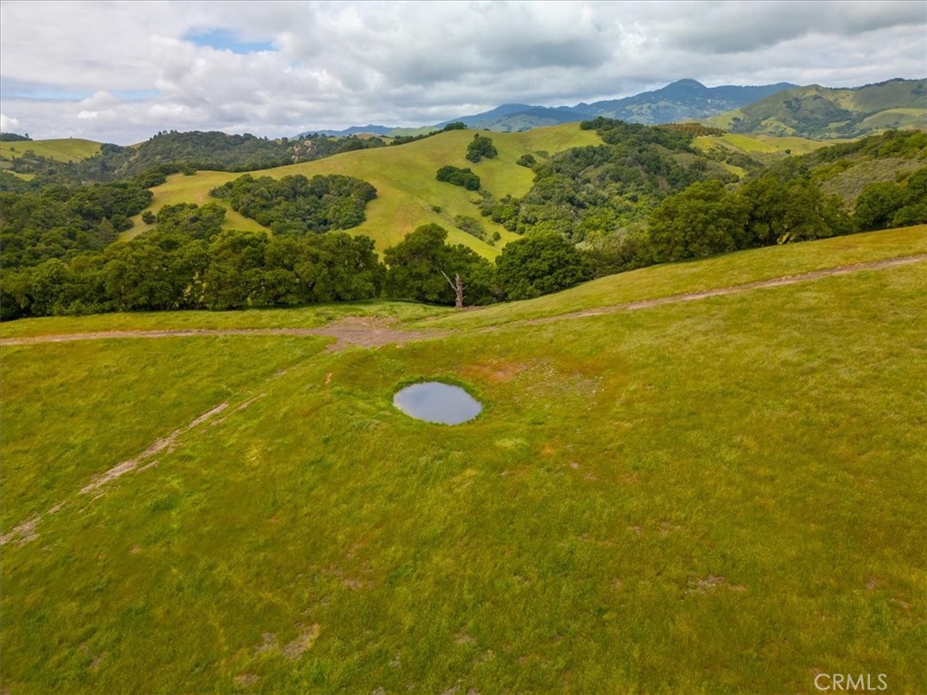 MLS #PI25041316 image #12