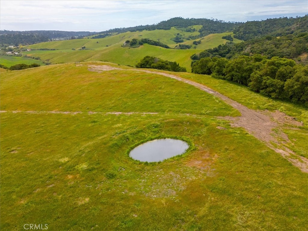 MLS #PI25041316 image #13