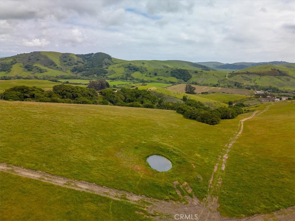 MLS #PI25041316 image #14