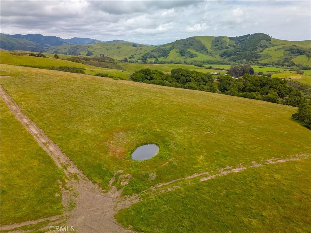 MLS #PI25041316 image #15