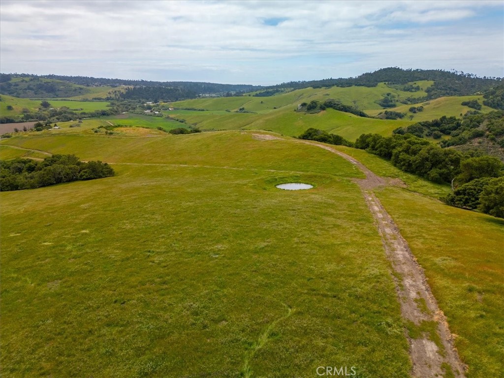 MLS #PI25041316 image #16