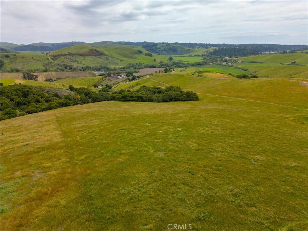 MLS #PI25041316 image #18