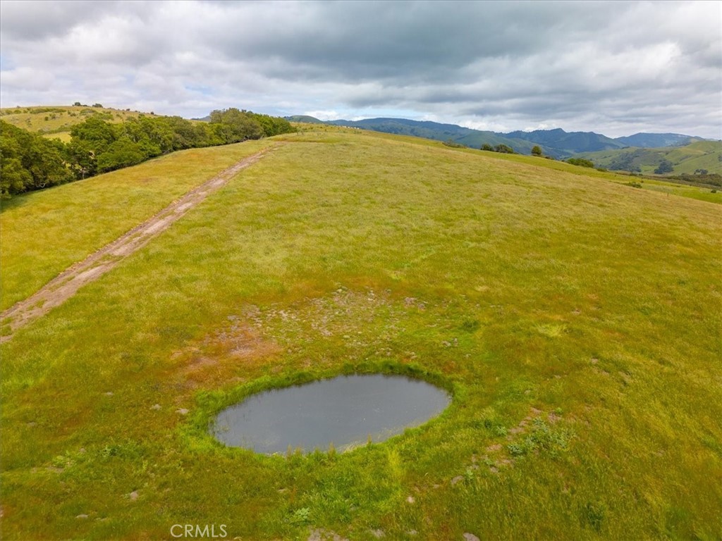 MLS #PI25041316 image #20