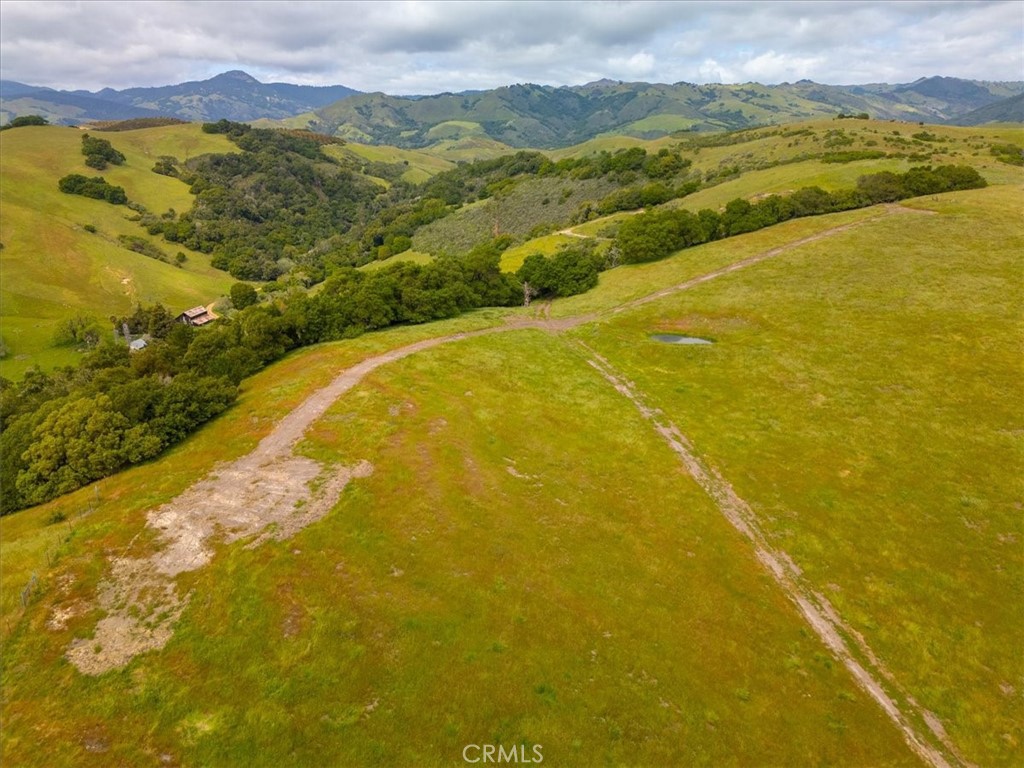 MLS #PI25041316 image #22