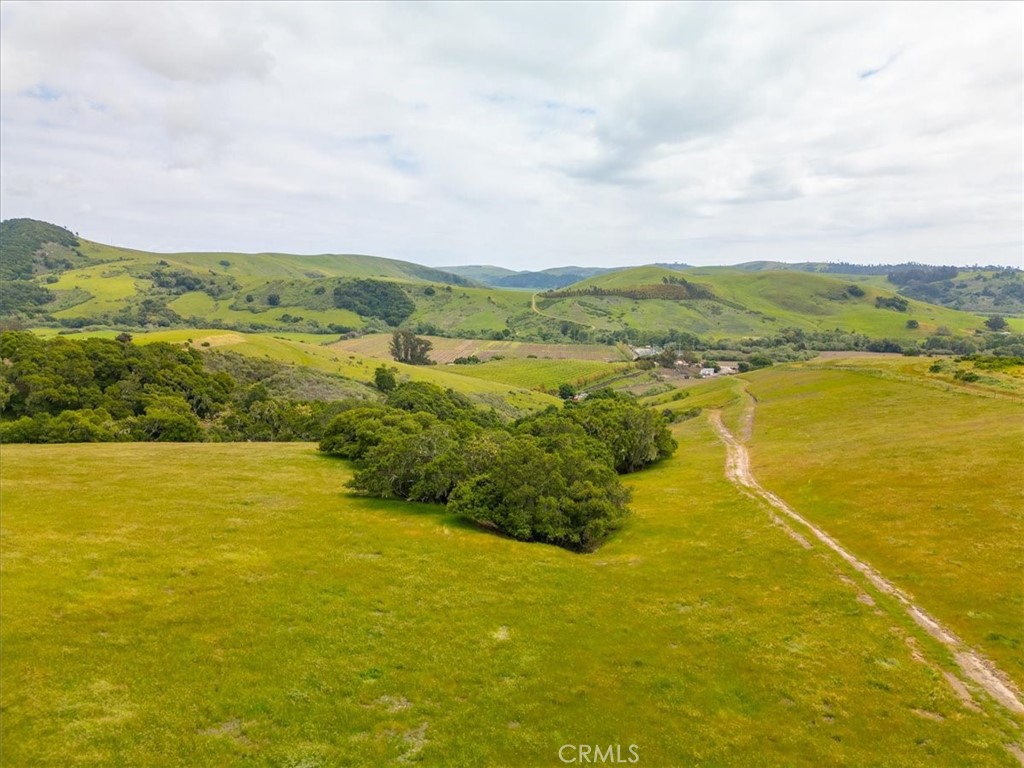 MLS #PI25041316 image #23