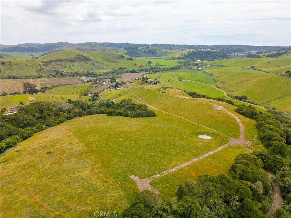 MLS #PI25041316 image #6