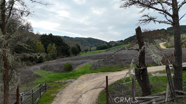 MLS #PI25046937 image #9