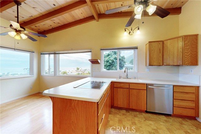 MLS #PI25052191 image #33