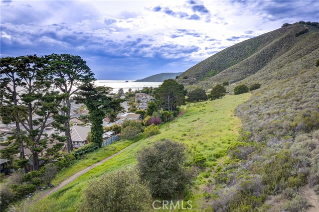 MLS #PI25052191 image #65