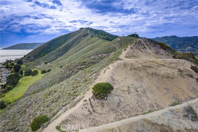 MLS #PI25052191 image #68