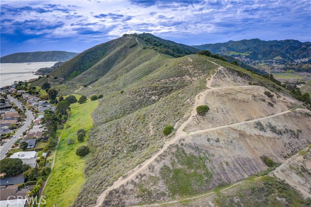 MLS #PI25052191 image #69