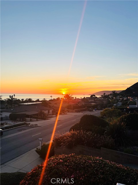 MLS #PI25052191 image #79