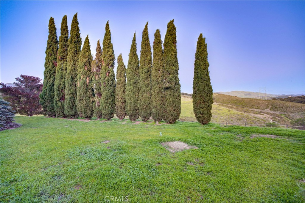 MLS #PI25052858 image #46