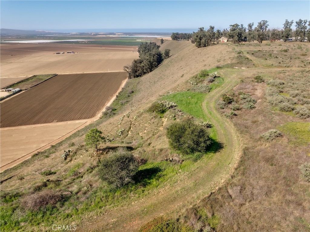 MLS #PI25053443 image #25