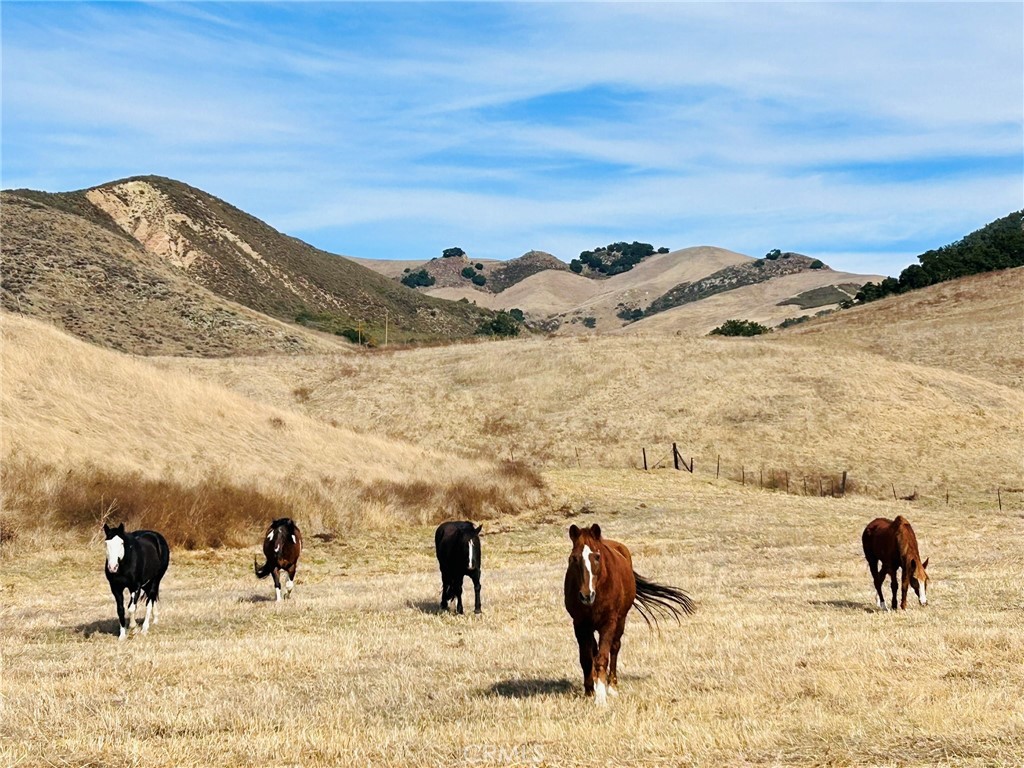 MLS #PI25062406 image #42