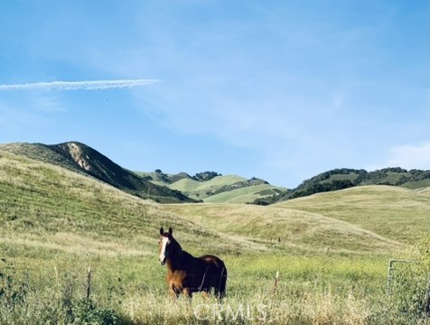 MLS #PI25062406 image #43