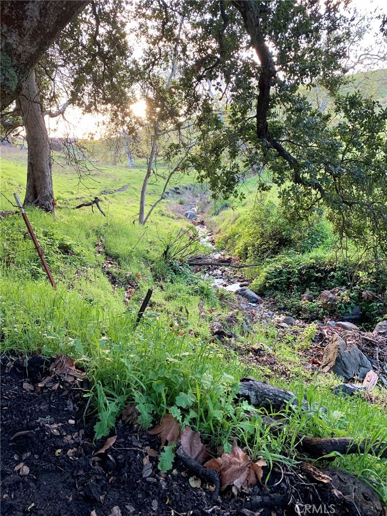 MLS #PI25062406 image #44