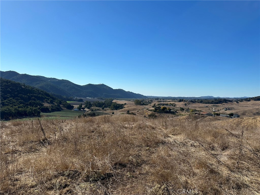 MLS #PI25062406 image #49