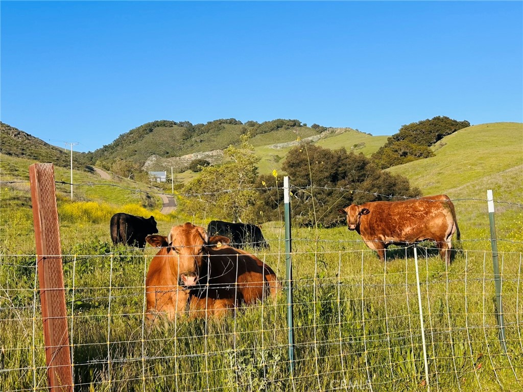 MLS #PI25062406 image #53