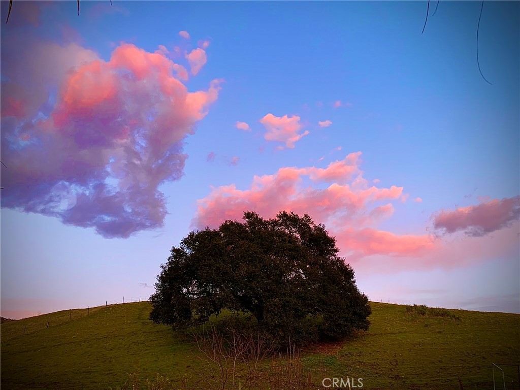 MLS #PI25062406 image #54