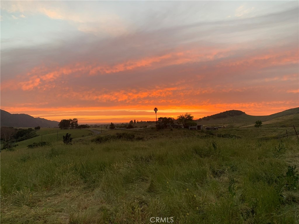 MLS #PI25062406 image #55