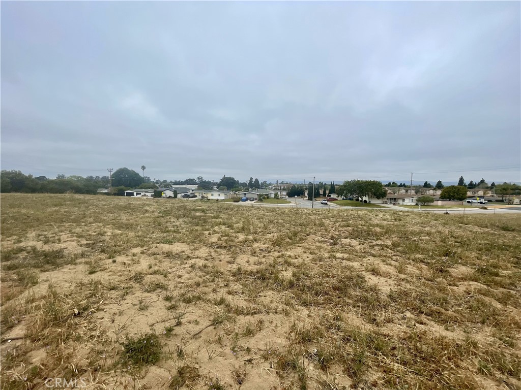 MLS #PI25085531 image #9