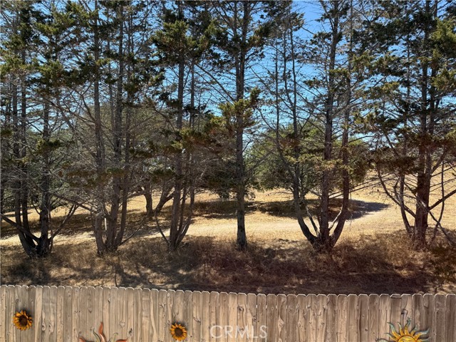 MLS #PI25088757 image #36