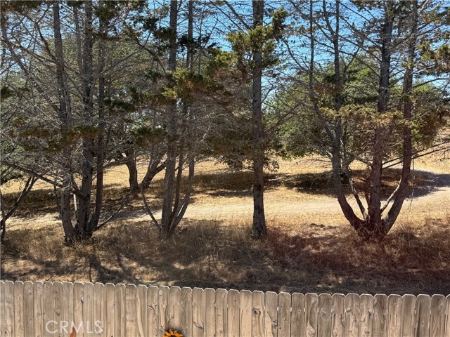 MLS #PI25088757 image #37