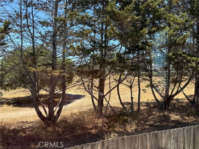 MLS #PI25088757 image #38
