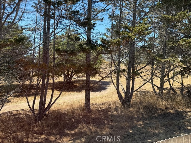 MLS #PI25088757 image #45