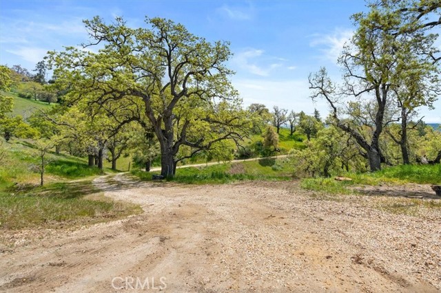 MLS #PI25097786 image #41