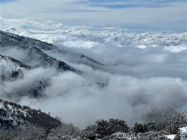 MLS #PI25097786 image #53