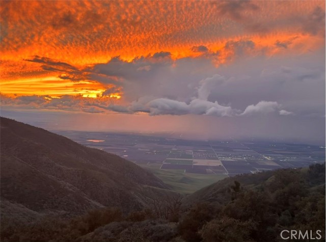 MLS #PI25097786 image #54