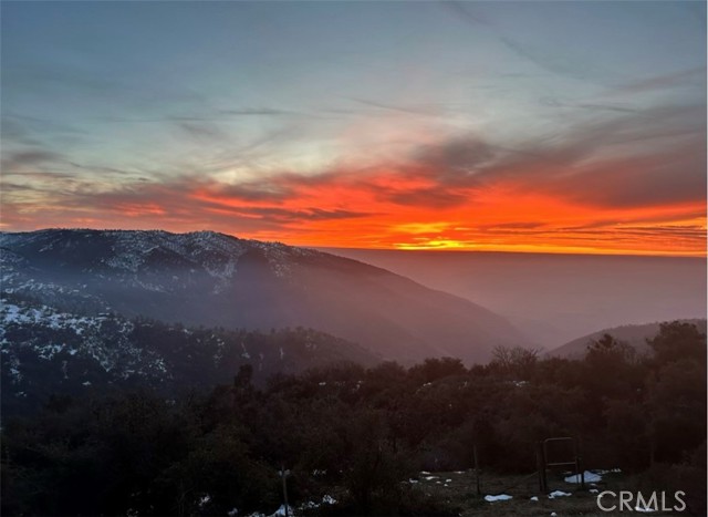 MLS #PI25097786 image #55