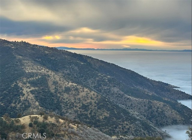 MLS #PI25097786 image #56