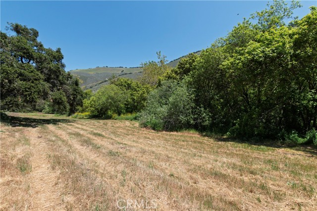 MLS #PI25102541 image #45