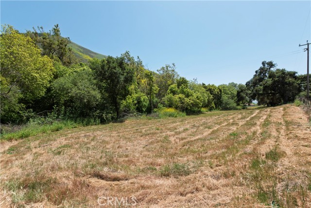 MLS #PI25102541 image #46