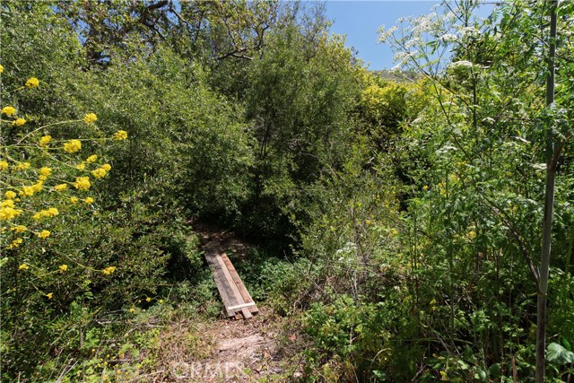 MLS #PI25102541 image #47