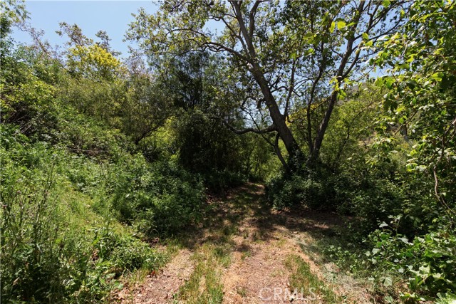 MLS #PI25102541 image #49