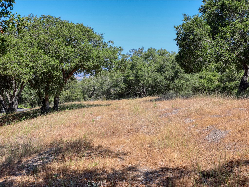 MLS #PI25102956 image #10