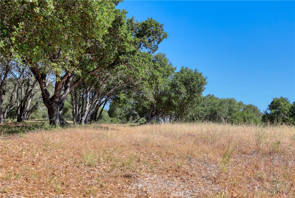 MLS #PI25102956 image #11