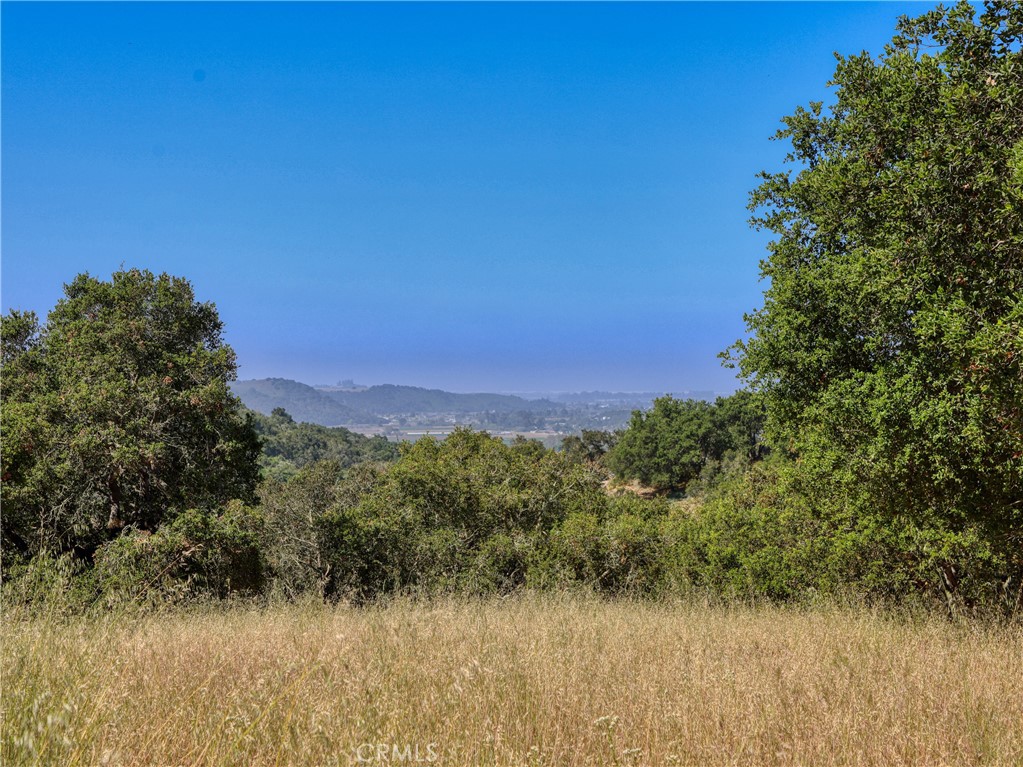 MLS #PI25102956 image #12