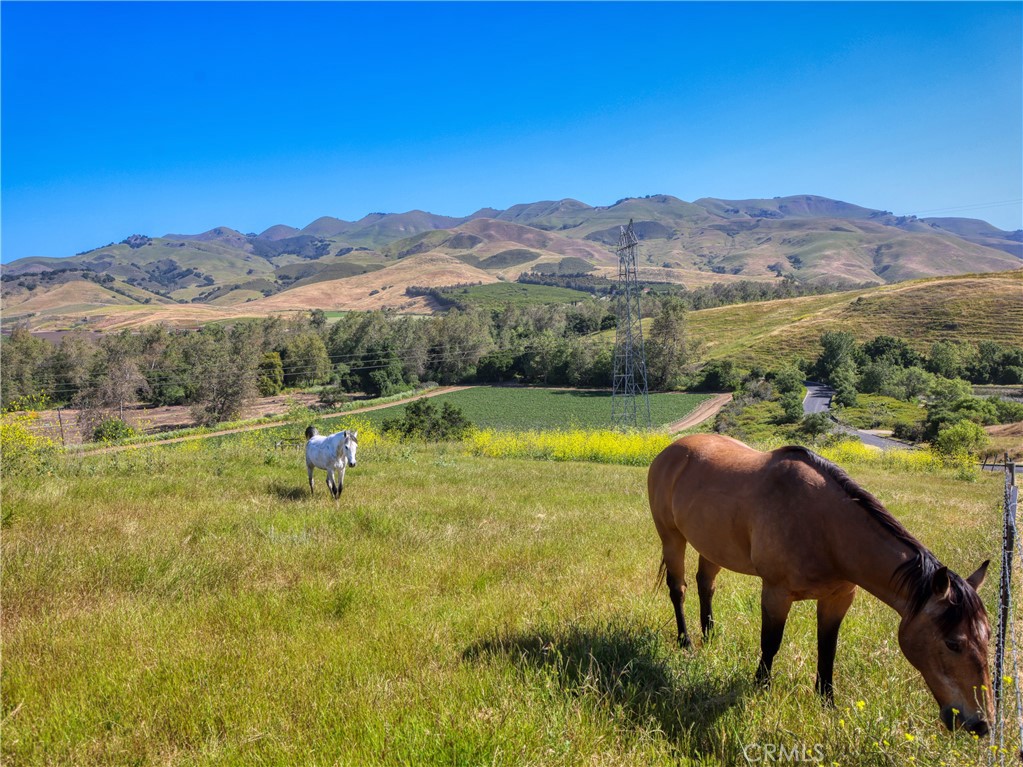 MLS #PI25102956 image #17