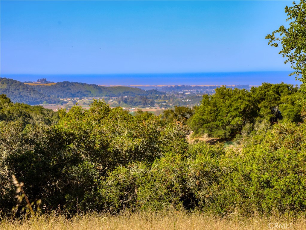 MLS #PI25102956 image #4