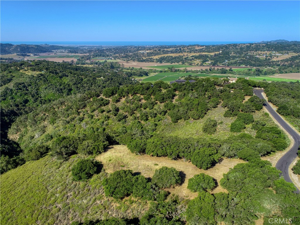 MLS #PI25102956 image #5