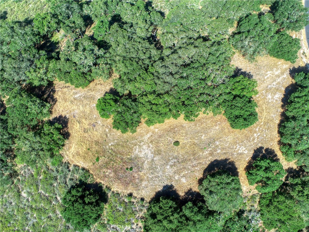 MLS #PI25102956 image #6