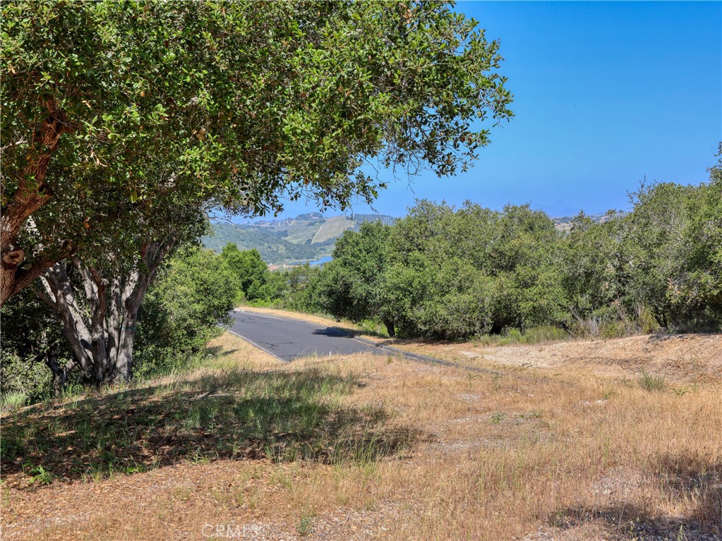 MLS #PI25102956 image #9