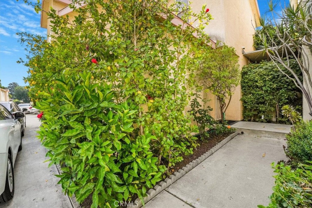 MLS #PI25104037 image #5