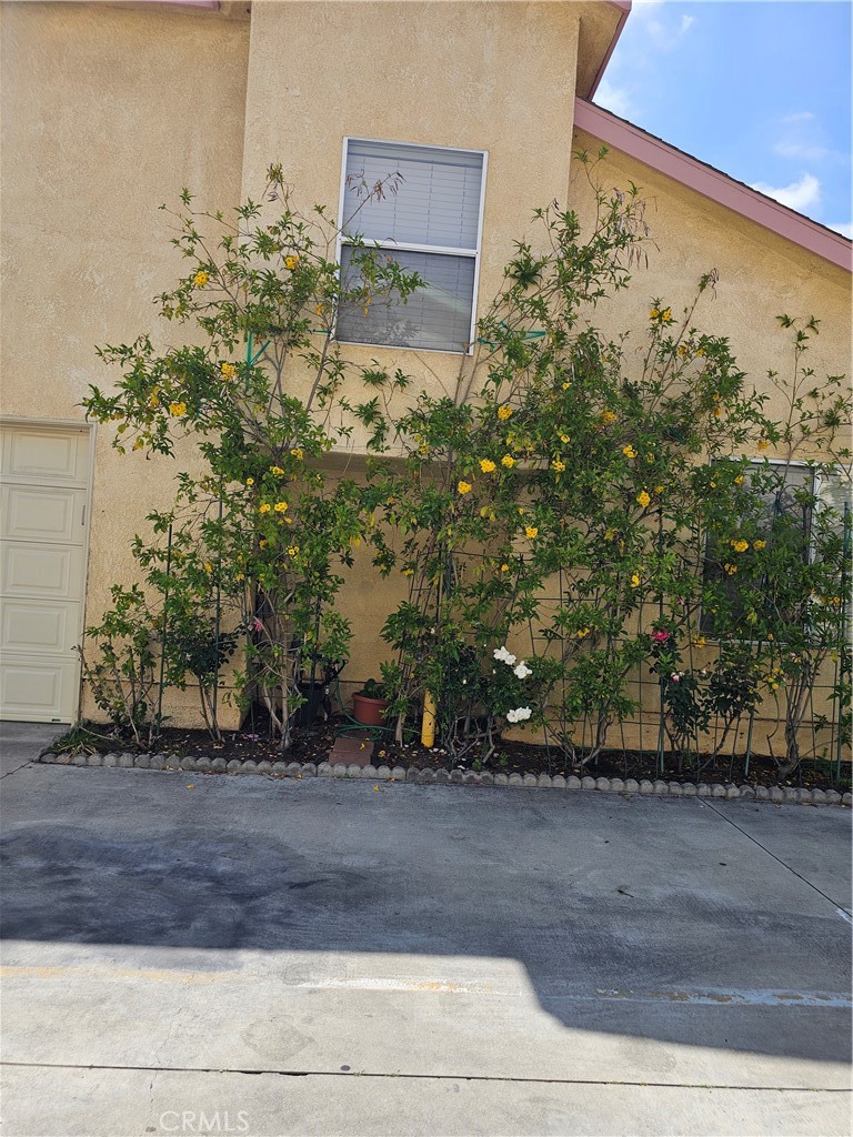 MLS #PI25104037 image #6